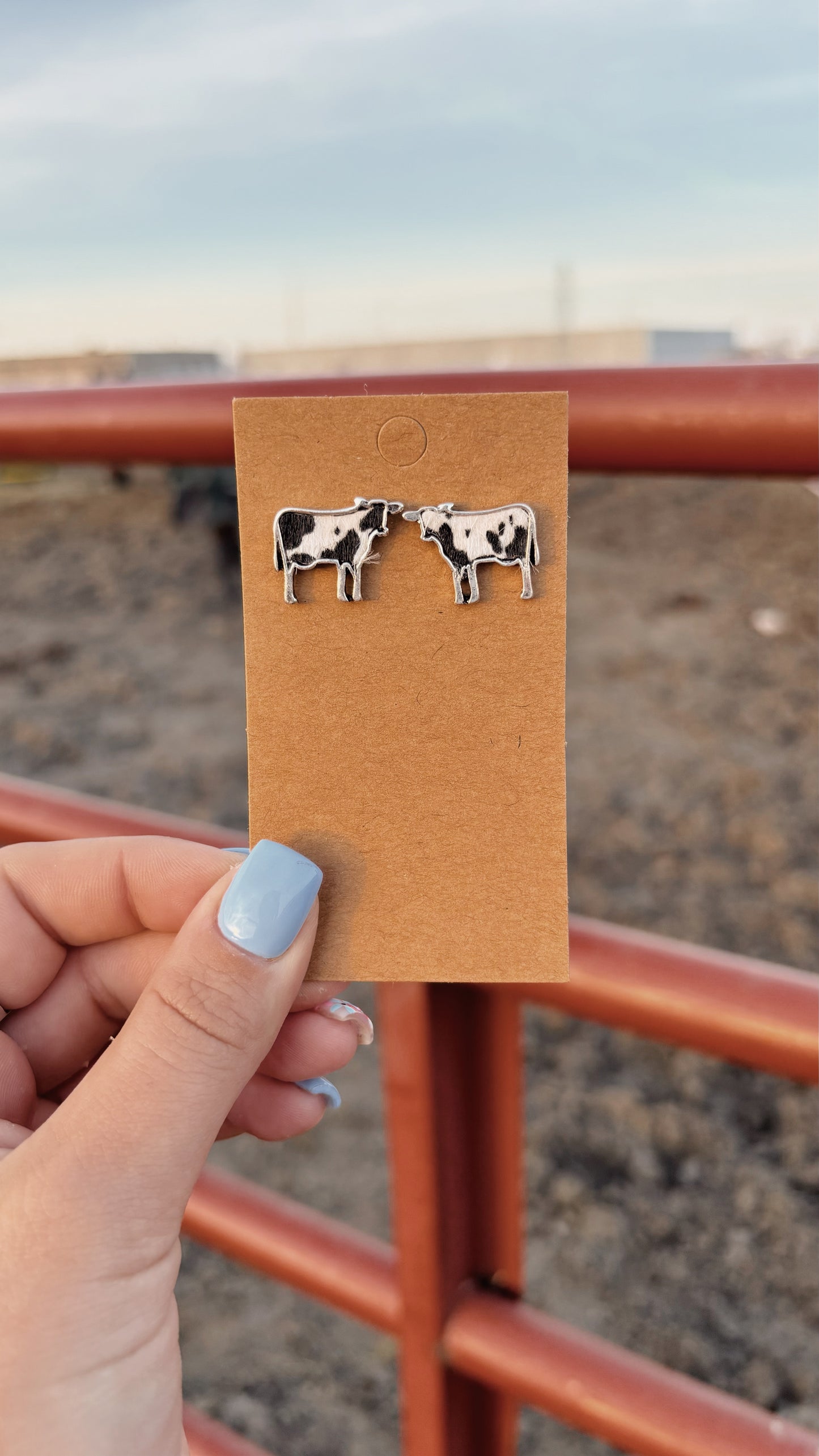 Black Body Cow Stud Earrings